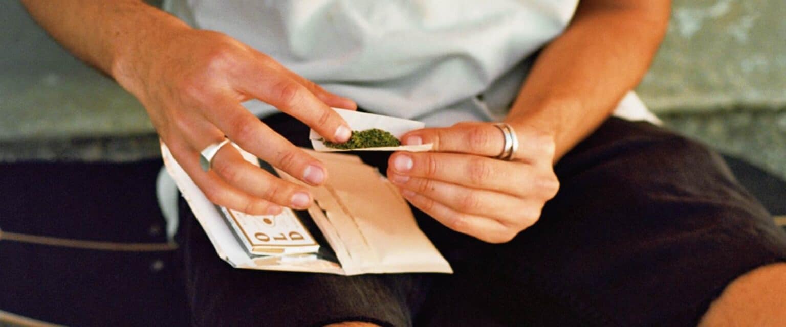 10 Best Smokable Herbs to Roll With Cannabis Old Pal